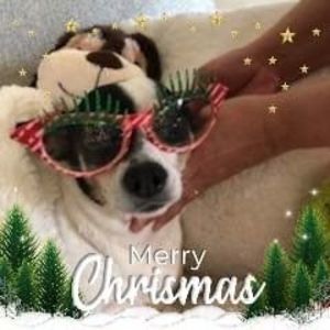 Meet your Posher, Becky